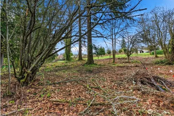 1406 E 44th Street #1, Tacoma, WA 98404