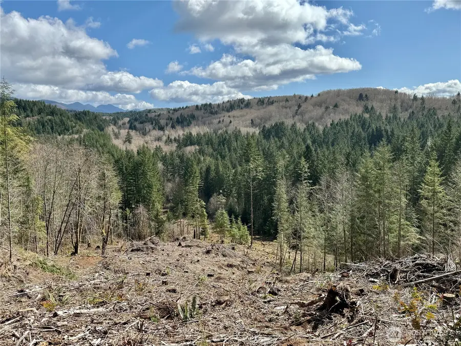 418 August Road #3, Onalaska, WA 98570 - #3