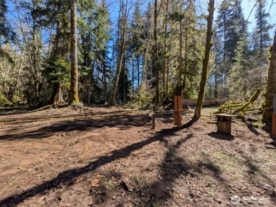 55912 317th Avenue E, Ashford, WA 98304 - #3