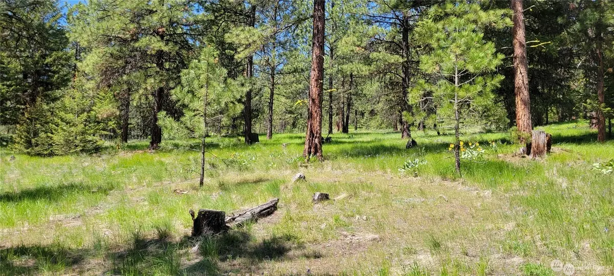 374 Bench Creek Road #10, Tonasket, WA 98855 - #1