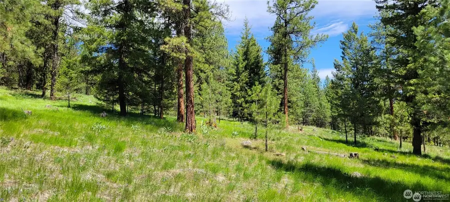 374 Bench Creek Road #10, Tonasket, WA 98855 - #2