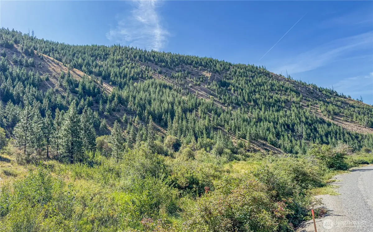 10558 Mud Creek Road #9, Entiat, WA 98822 - #1