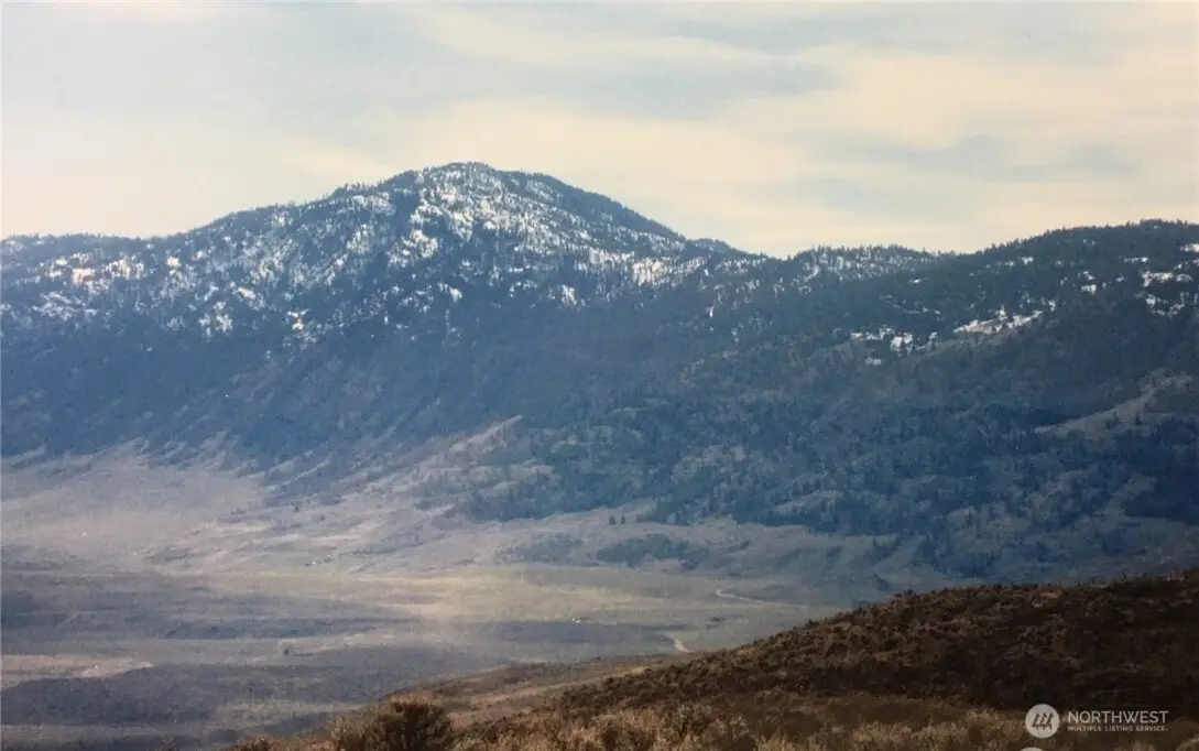 338 Palmer Mountain Road, Oroville, WA 98855 - #1