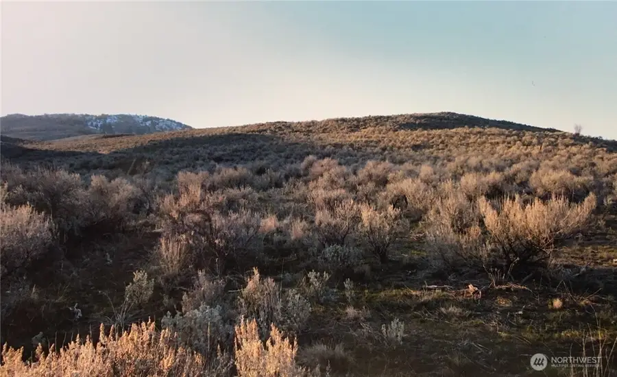 338 Palmer Mountain Road, Oroville, WA 98855 - #3