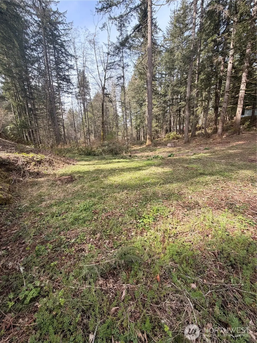7688 SW Grace Street, Port Orchard, WA 98367 - #1