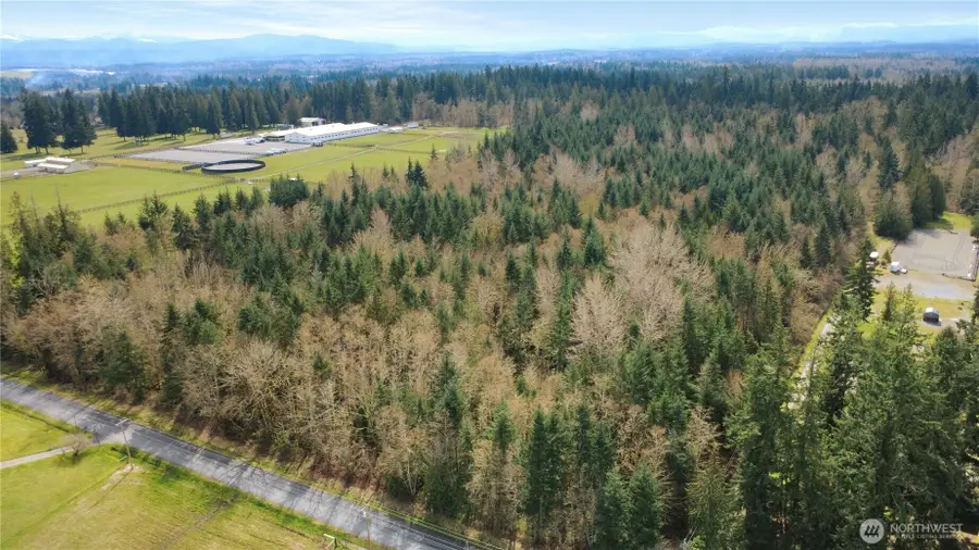 6420 288th Street E, Graham, WA 98338 - #3