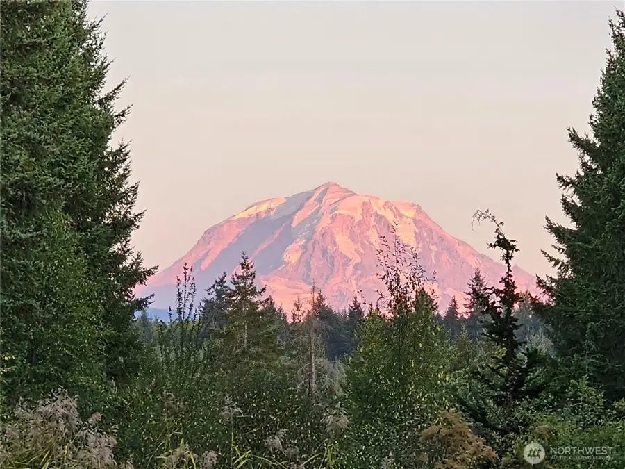 16719 Ap Tubbs Road East, Buckley, WA 98321 - #3