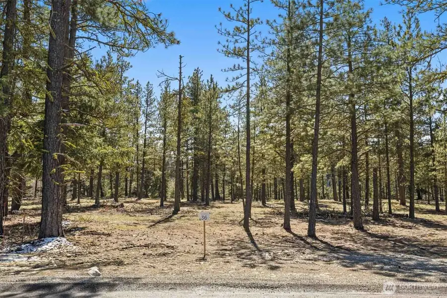 36 Wanawish Loop #36, Cle Elum, WA 98922 - #3