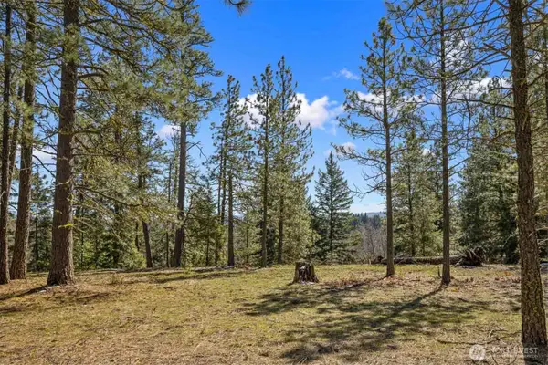 38 Wanawish Loop #38, Cle Elum, WA 98922