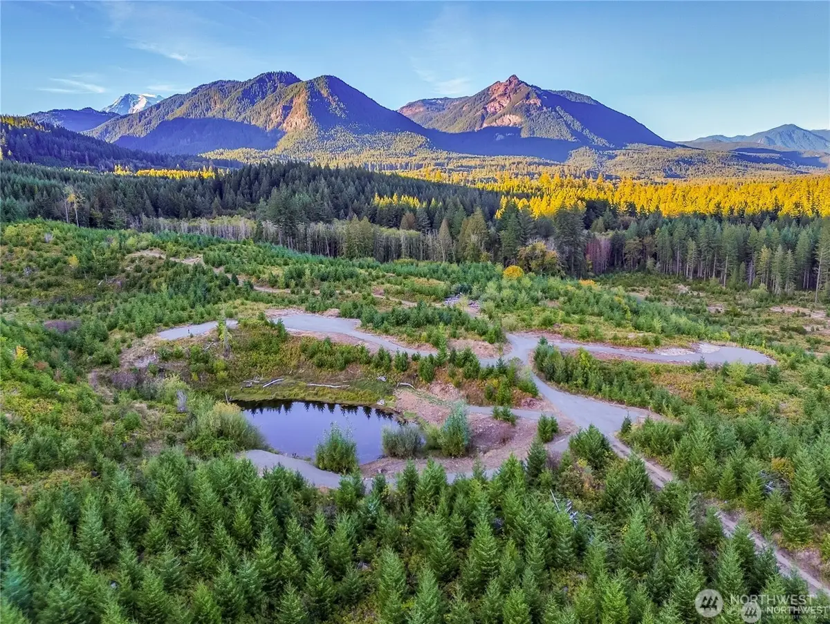 294 Hardy Lane, Packwood, WA 98361 - #1