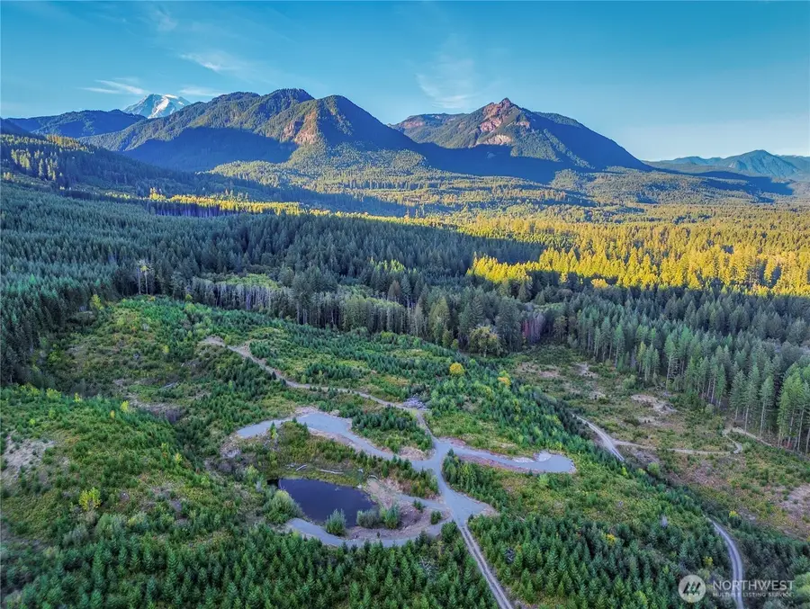 294 Hardy Lane, Packwood, WA 98361 - #3