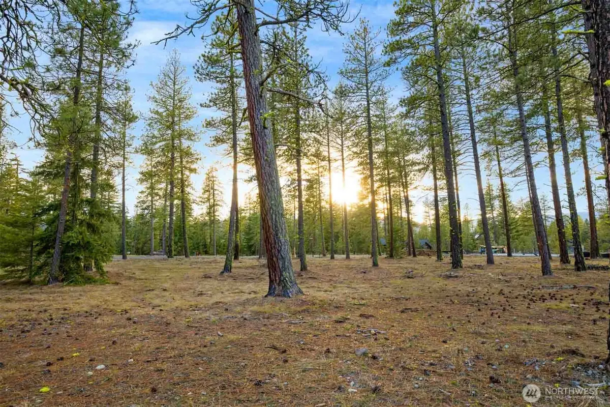 113 Wanawish Loop #113, Cle Elum, WA 98922 - #1