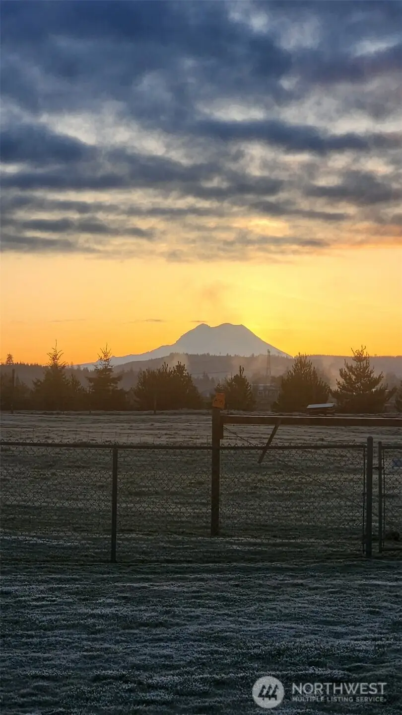 16826 Sheldon Lane Sw, Rochester, WA 98579 - #3