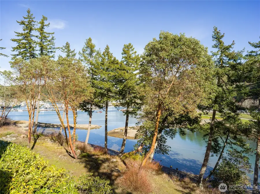 98 Armadale Road #215, Friday Harbor, WA 98250 - #3