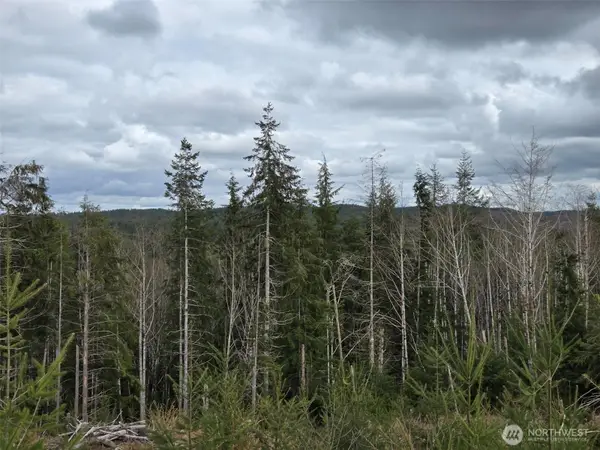 0 Hoquiam Wishkah Road, Hoquiam, WA 98550