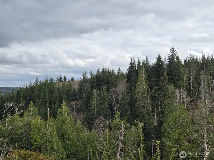 0 Hoquiam Wishkah Road, Hoquiam, WA 98550 - #3
