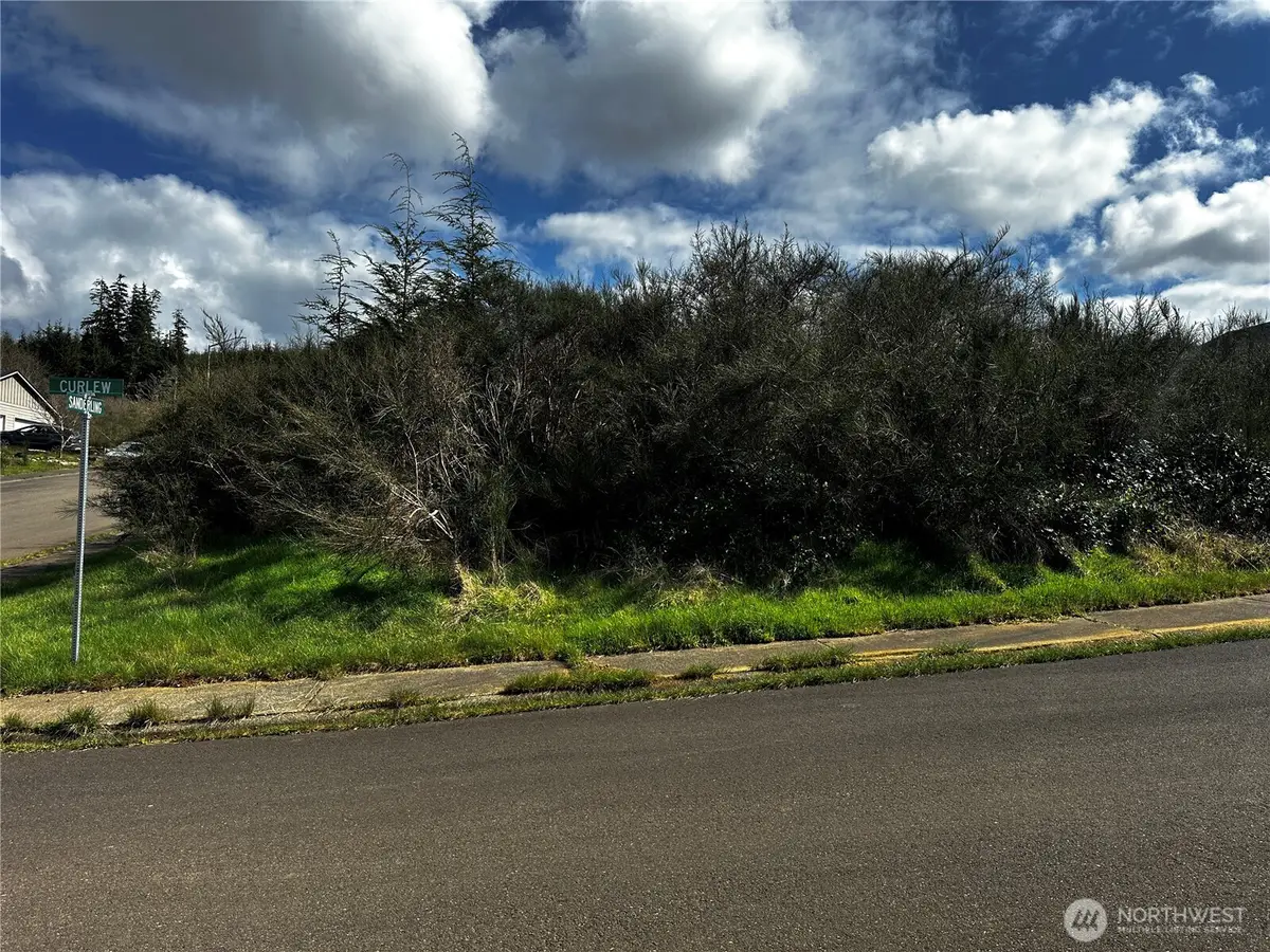 0 Curlew Court #16, Hoquiam, WA 98550 - #1