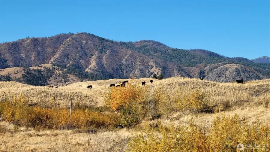 0 Harrier Lane, Tonasket, WA 98855 - #2