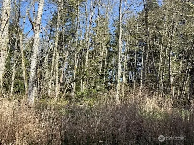 0 Ander Park Road, Freeland, WA 98249 - #2