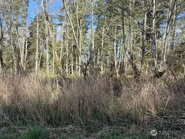 0 Ander Park Road, Freeland, WA 98249 - #3