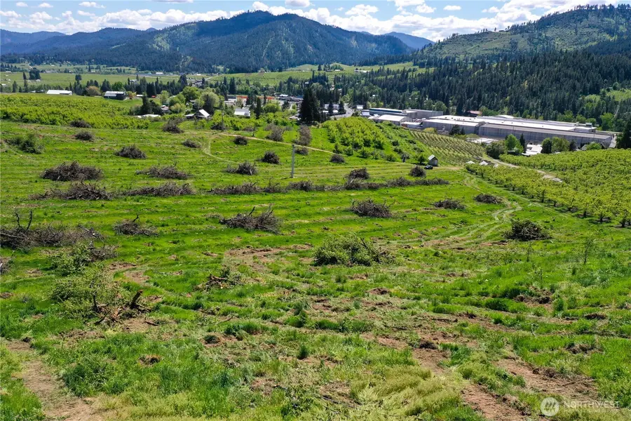 3 Ludwig Hill Rd, Peshastin, WA 98847 - #2