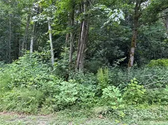 72 Saratoga Drive, Hat Island, WA 98206 - #1