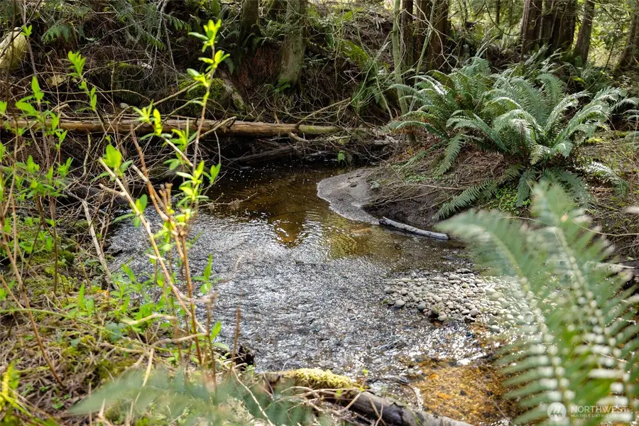 0 H Street Road, Blaine, WA 98230 - #3