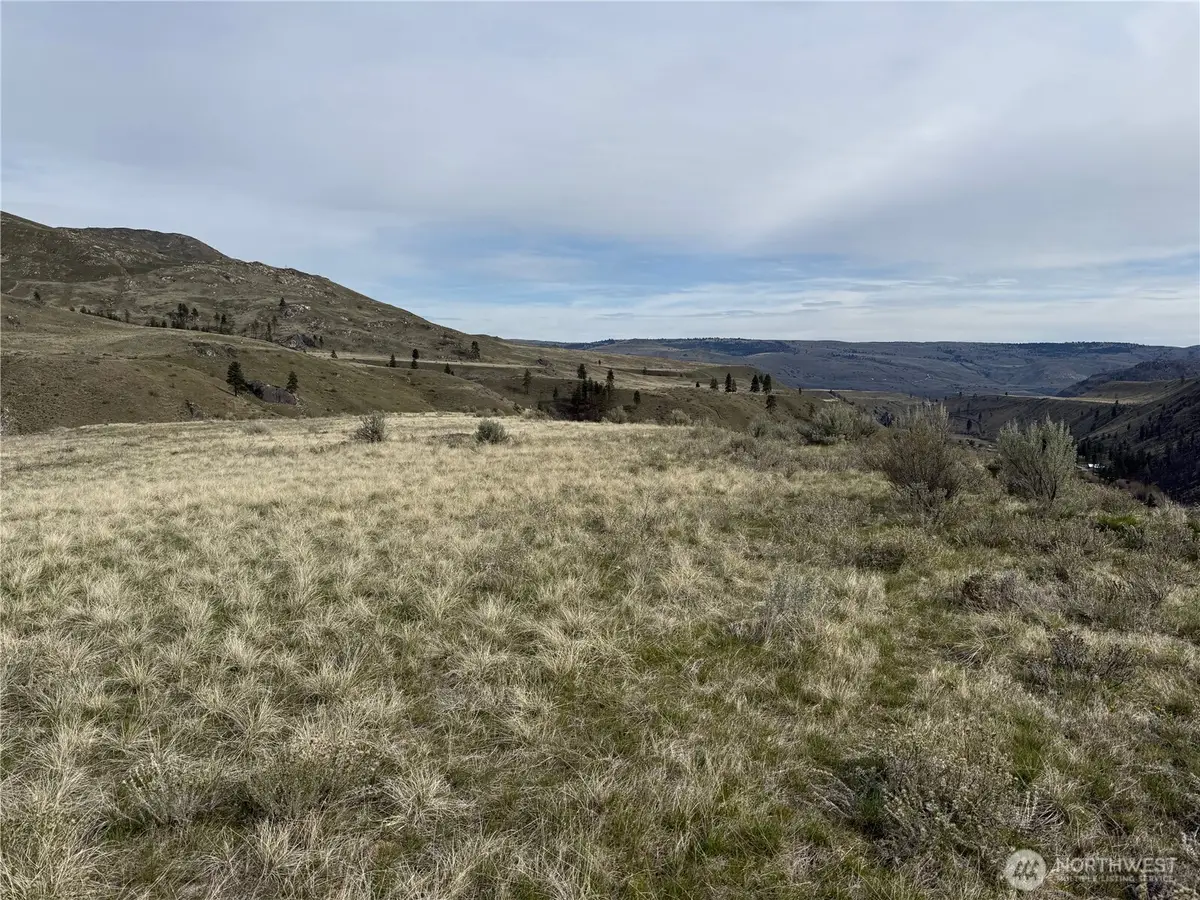 2830 Antoine Creek Road, Chelan, WA 98816 - #1