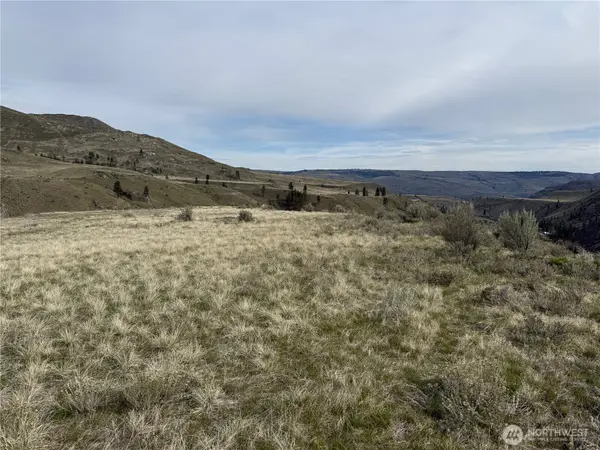 2830 Antoine Creek Road, Chelan, WA 98816