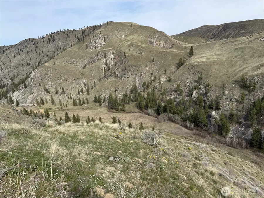 2830 Antoine Creek Road, Chelan, WA 98816 - #3