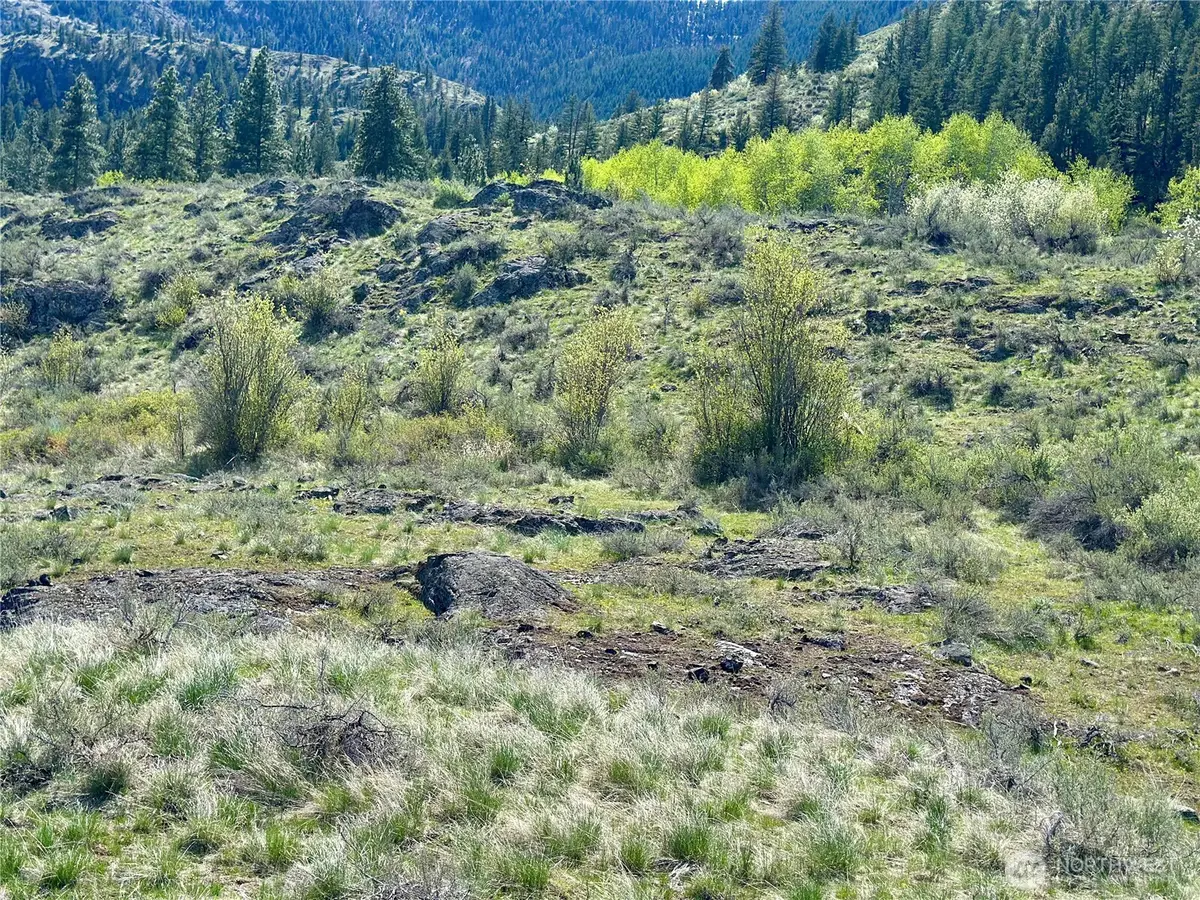 2 Alder Road, Twisp, WA 98856 - #1