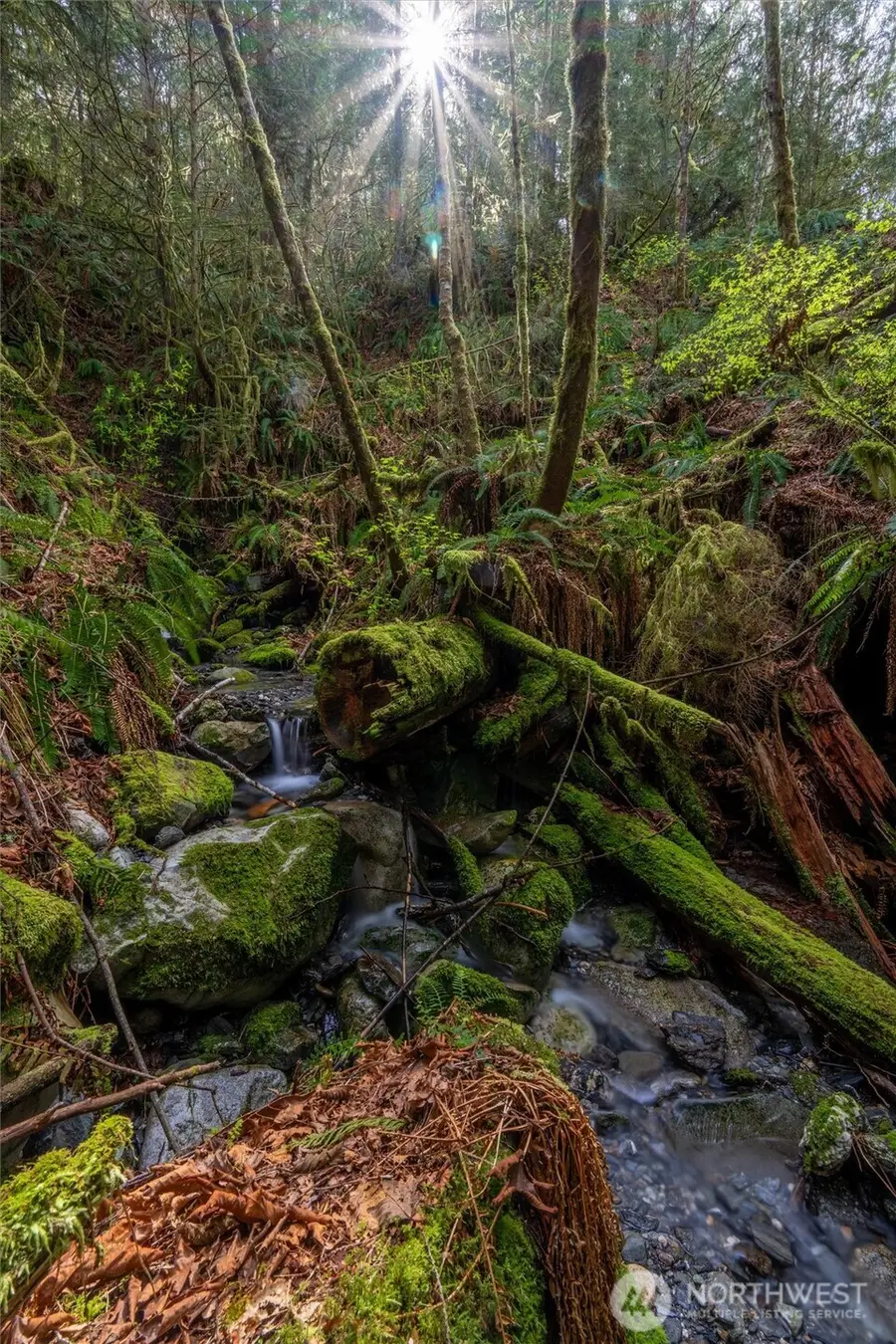 861 Summerhill Drive, Sedro Woolley, WA 98284 - #2