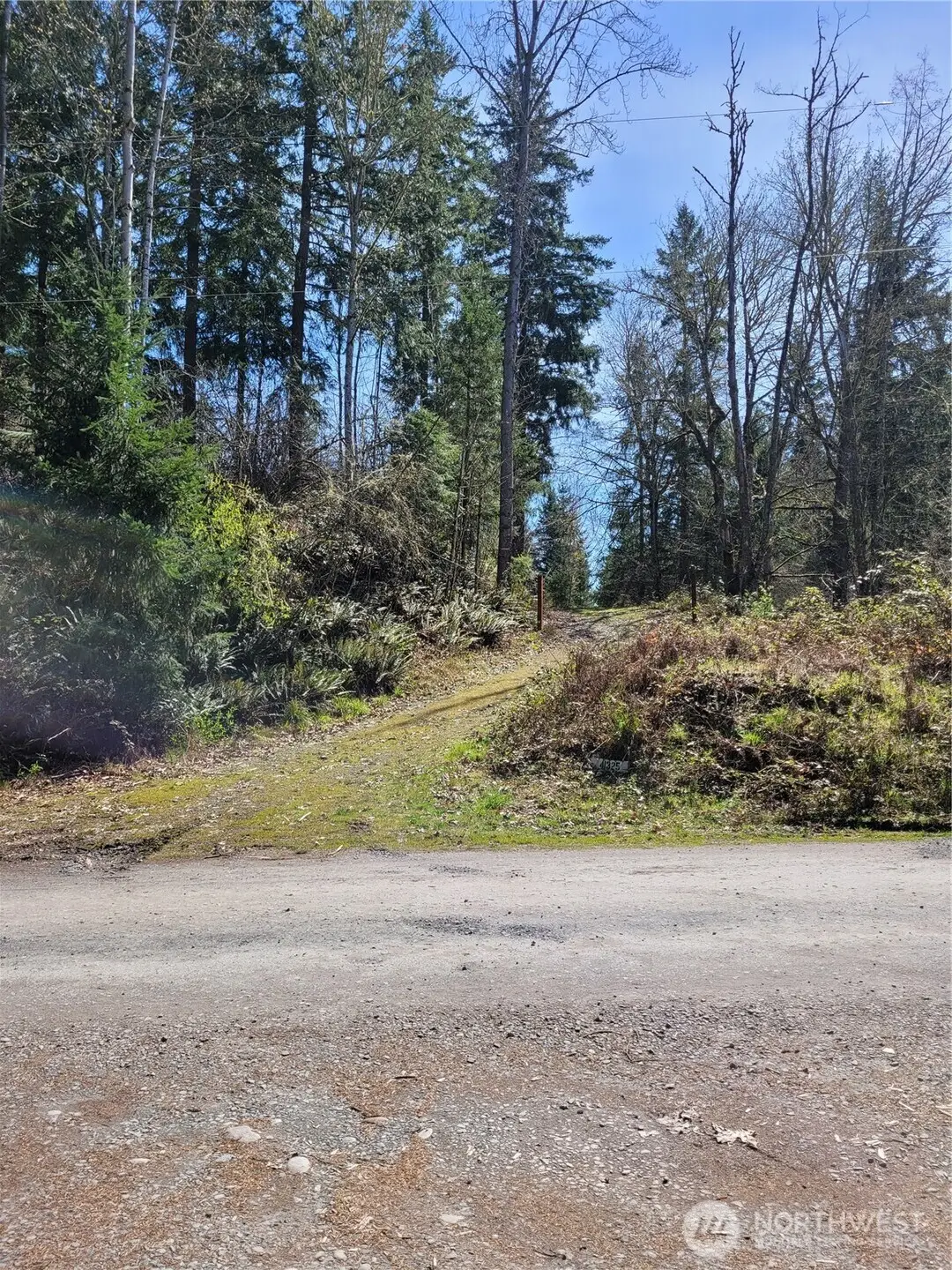 41325 109 Avenue Ct E, Eatonville, WA 98328 - #1