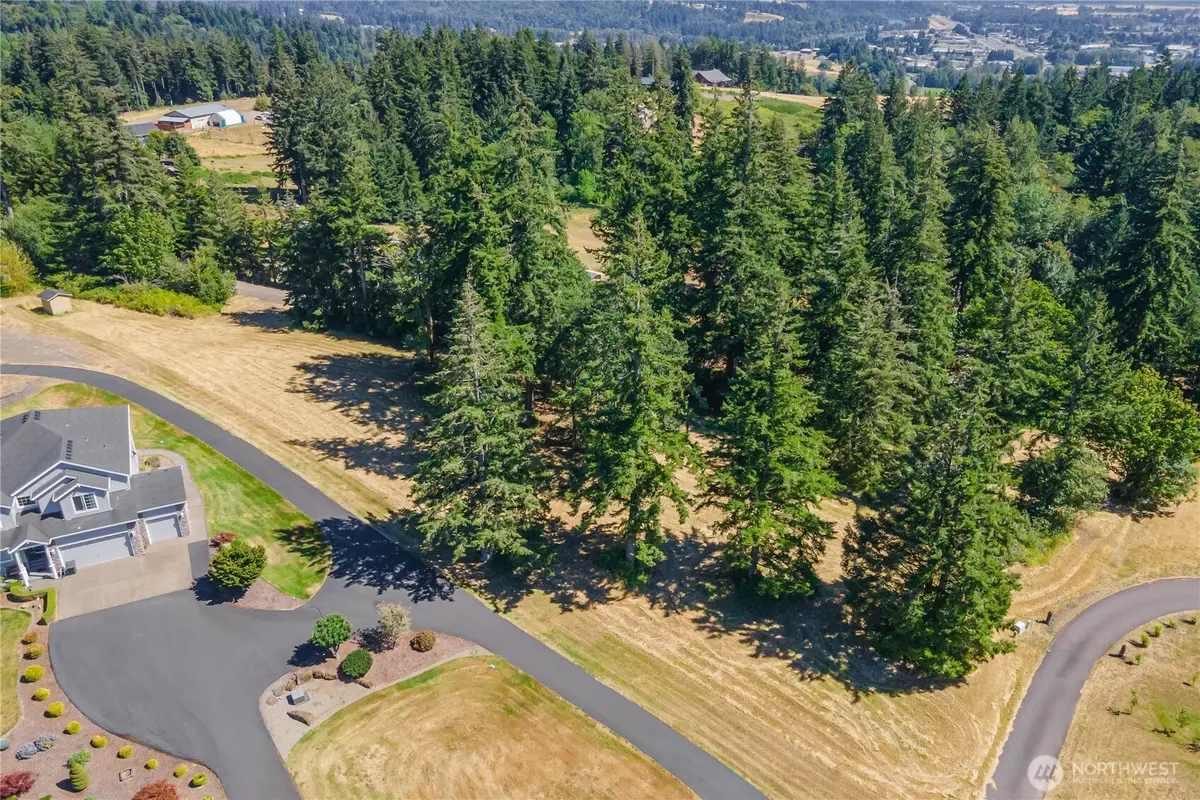 165 Saturn Ave, Woodland, WA 98674 - #1