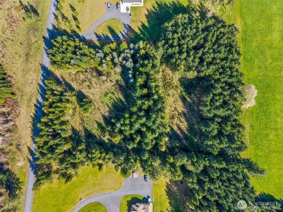 203 Bear Creek Lane, Winlock, WA 98596 - #3