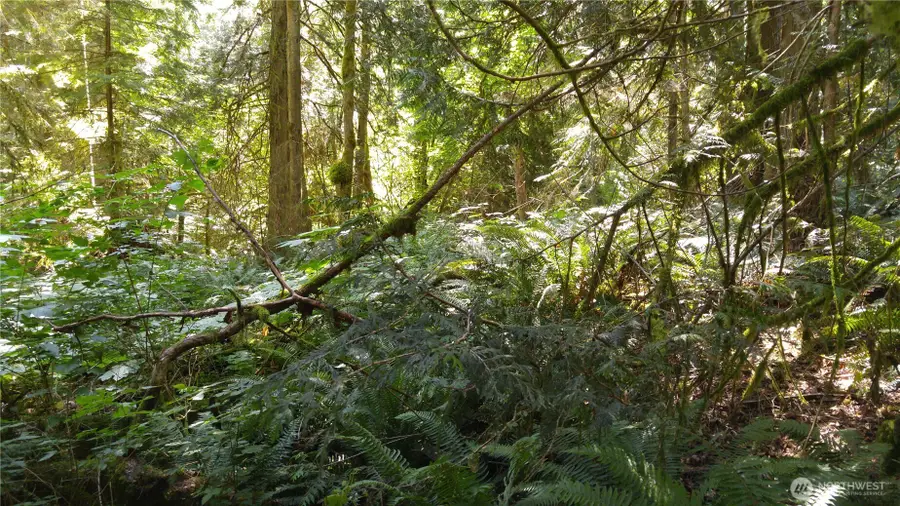 9 E Street #9, Bellingham, WA 98225 - #3