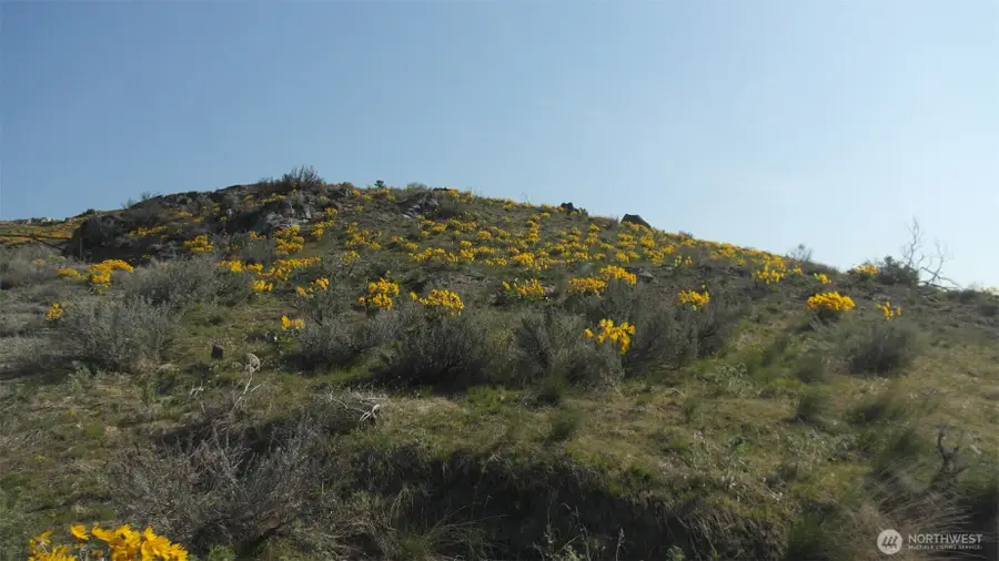 4 Brook Trout Lane #Lot  4, Methow, WA 98834 - #2