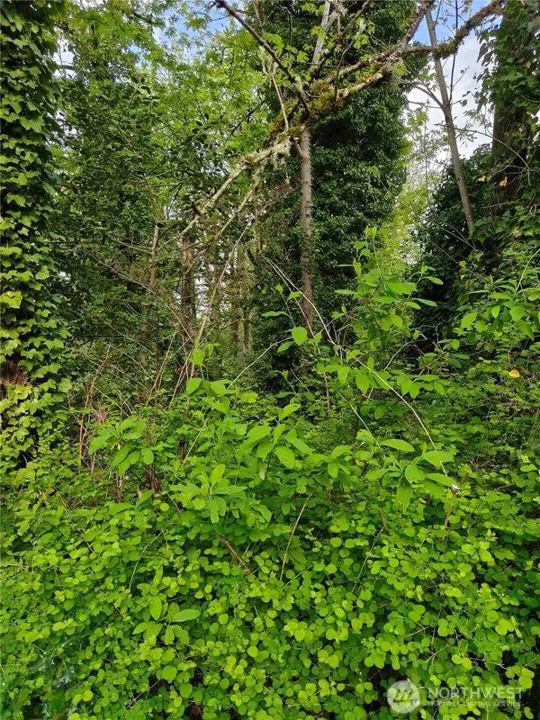 8813 42nd Avenue S, Seattle, WA 98118