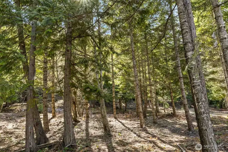 74 Liberty Bell Lane #74, Cle Elum, WA 98922 - #2