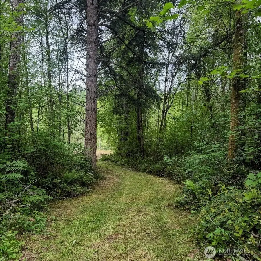 34323 Tanwax Drive E, Eatonville, WA 98328 - #3