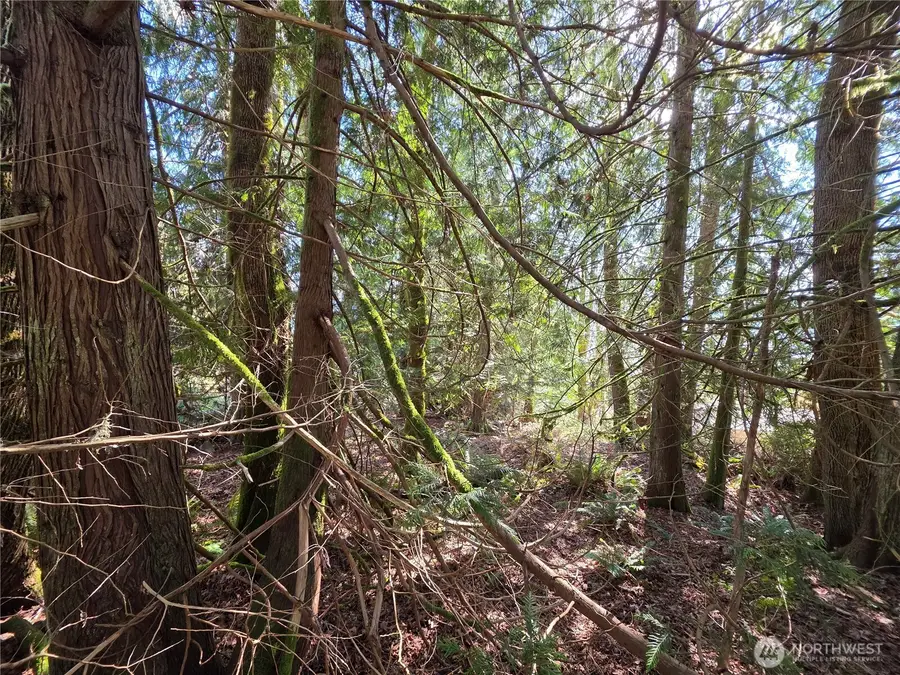 0 Cedar Place, Brinnon, WA 98320 - #3
