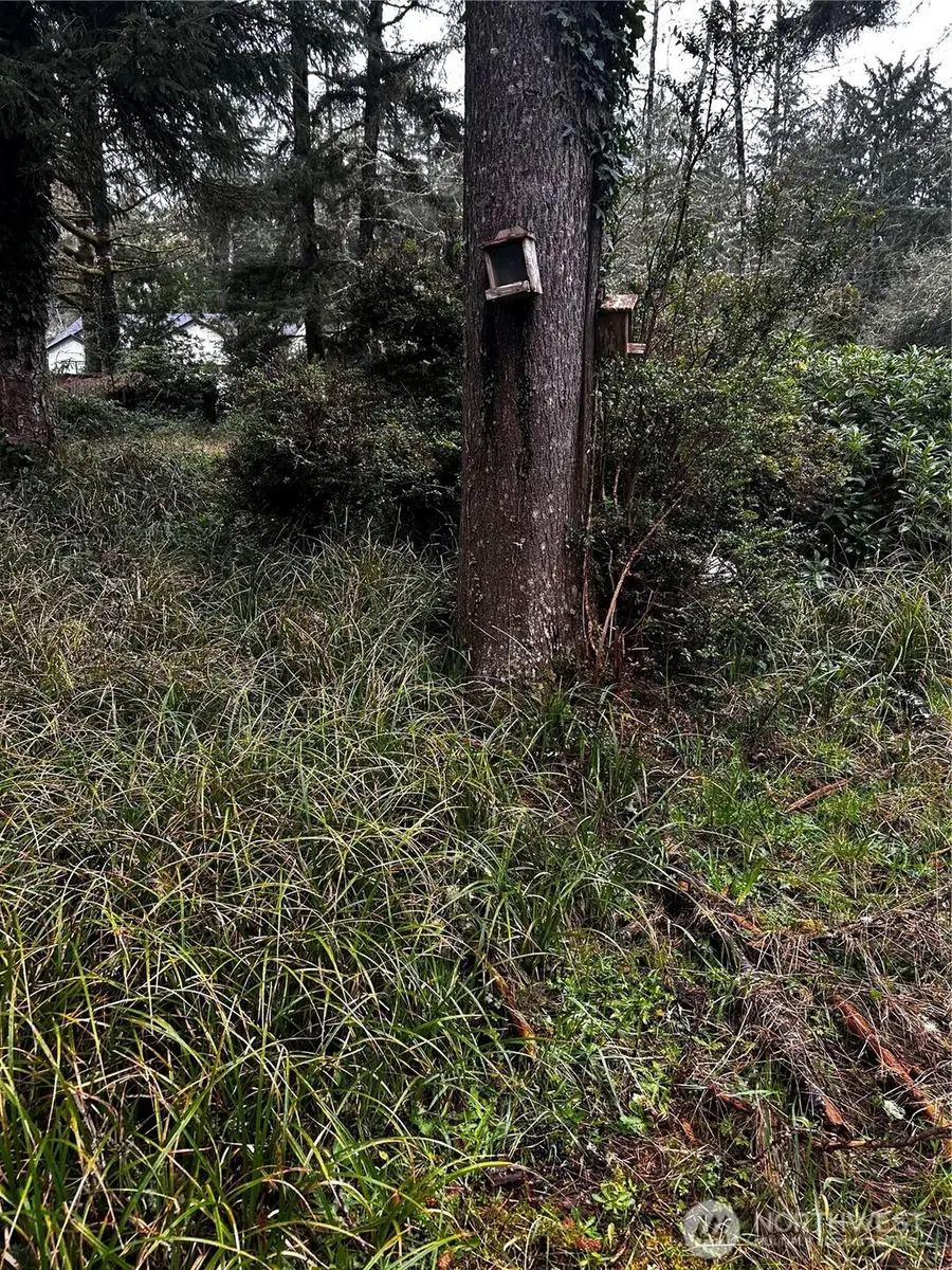 379 Eridani Loop Se #105 and 106, Ocean Shores, WA 98569 - #3