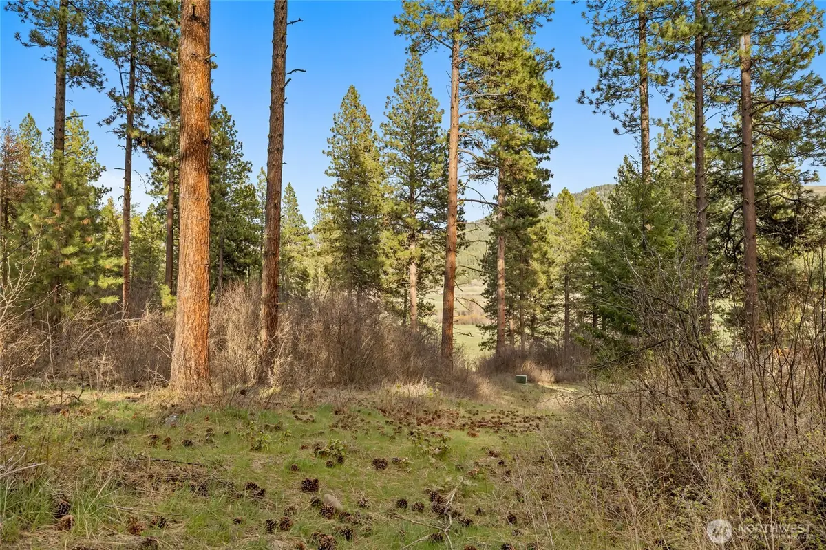 250 Fir Tree Drive #3-1-B, Cle Elum, WA 98922 - #1