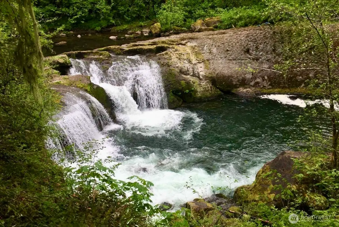 100 L-1100 Road, Yacolt, WA 98675 - #1