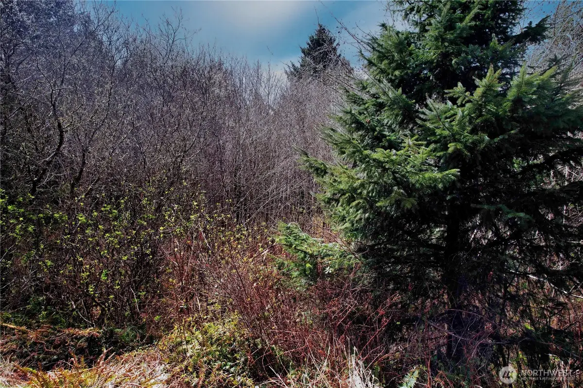 31 Ocean Beach Road #35-38, Pacific Beach, WA 98571 - #1