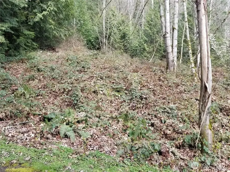 0 NE 58th Street Ne, Redmond, WA 98053 - #3