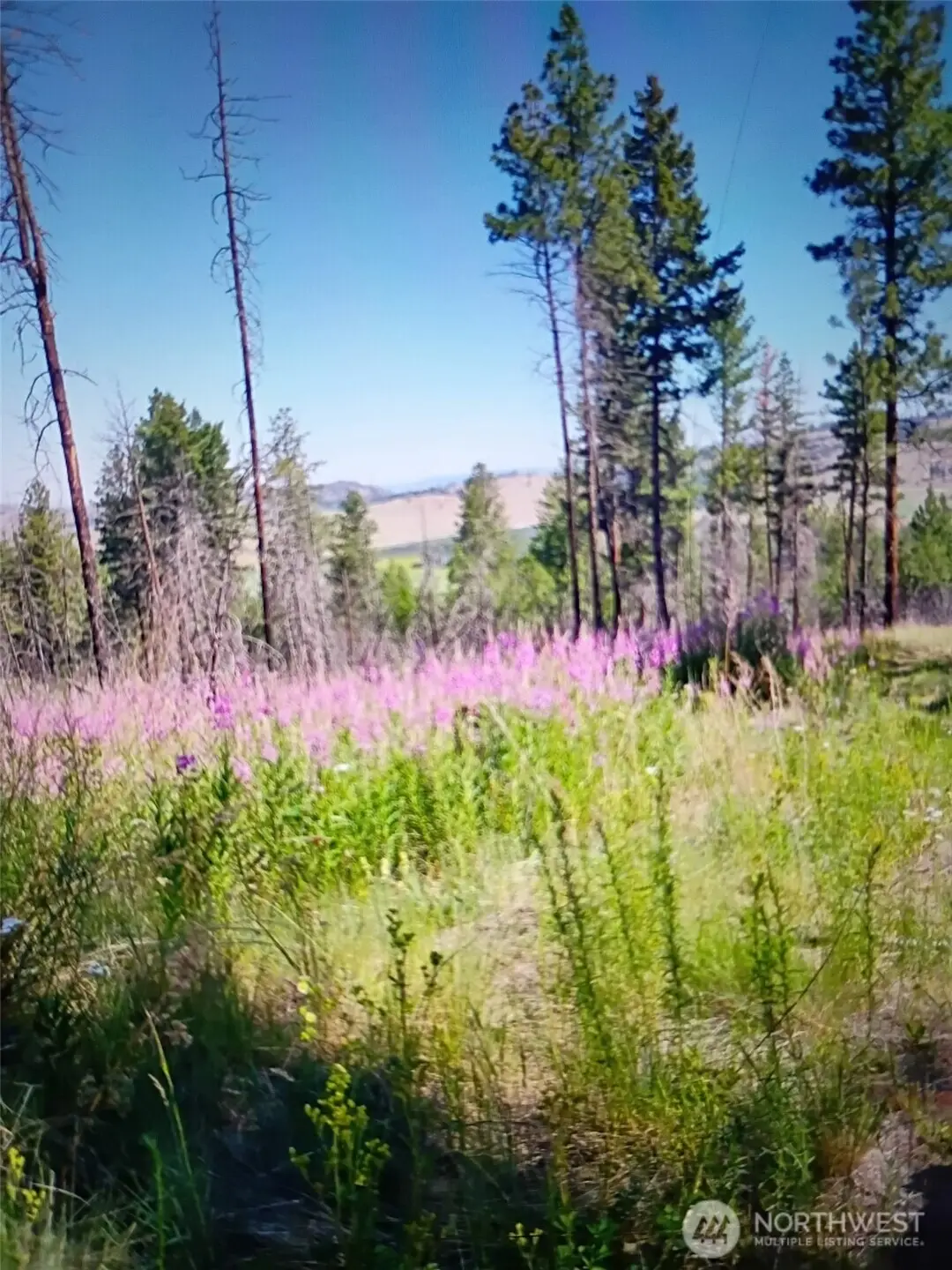 111 J H Green Rd, Tonasket, WA 98855 - #1