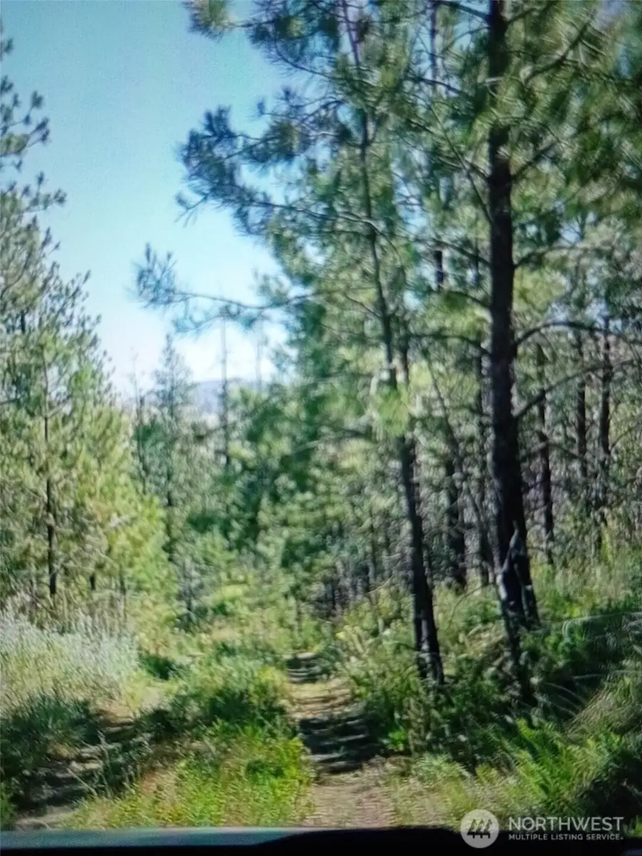 111 J H Green Rd, Tonasket, WA 98855 - #3