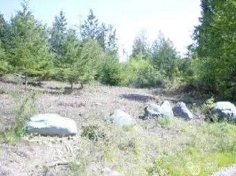 1111 Whiteman Road, Longbranch, WA 98351