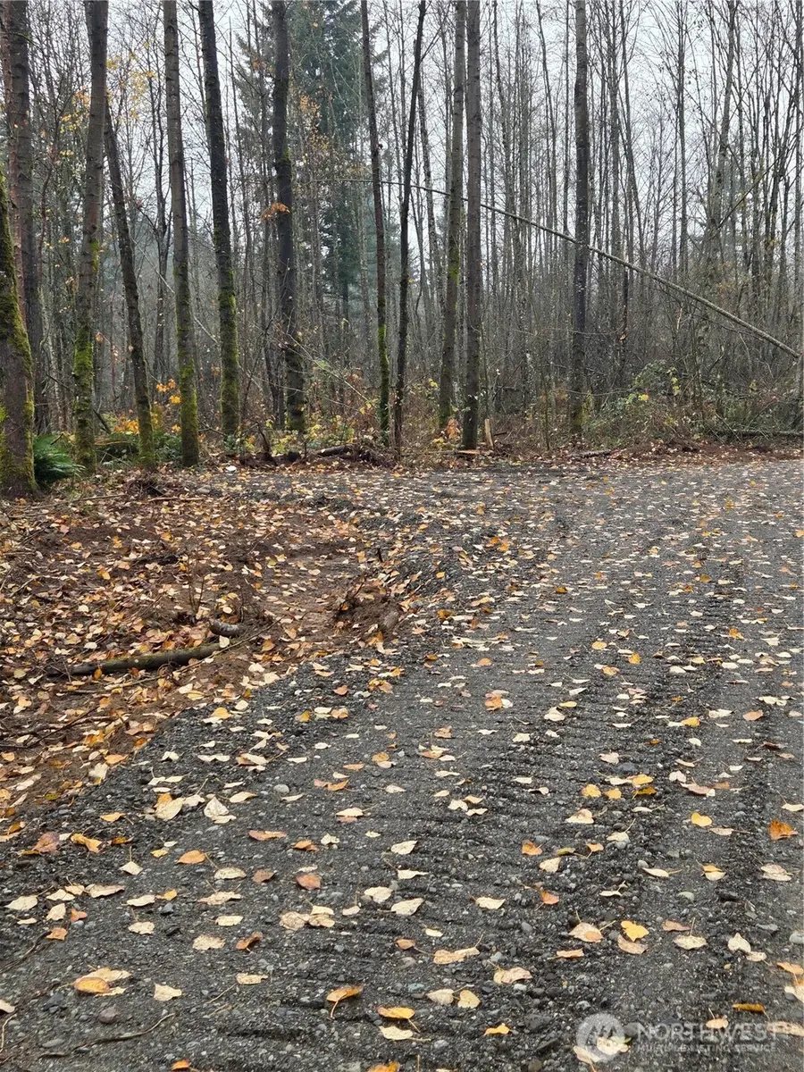 0 H Street, Blaine, WA 98230 - #3